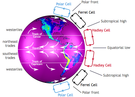 The meme is an image of a globe with various weather patterns labeled, including the "Polar Cell", "Tropics of Cancer", and "Tropics of Capricorn". The image is likely referencing the concept of global circulation patterns, with the labels indicating the movement of air masses and the resulting weather patterns. The text "In the Tropics of Cancer, the air is hot and dry, in the Tropics of Capricorn, the air is cool and moist" is likely a humorous or ironic commentary on the weather patterns.
